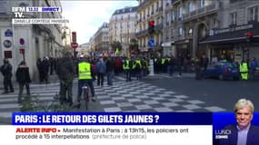 Selon un premier bilan de la préfecture, les policiers ont procédé à 15 interpellations depuis le début de la manifestation à Paris