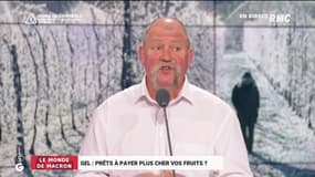 Le monde de Macron : Gel, prêts à payer plus cher vos fruits ? - 12/04