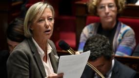 Sophie Cluzel, la secrétaire d'Etat en charge du Handicap, à l'Assemblée nationale le 14 novembre 2017.