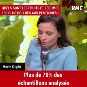 Quels sont les fruits et légumes les plus pollués aux pesticides ?