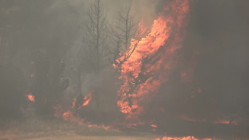 Les images des incendies dévastateurs qui ont fait au moins 22 blessés dans la région de Jérusalem thumbnail