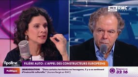 Électrique dans l'automobile: "Les ventes ne progressent plus. On a oublié le client final"