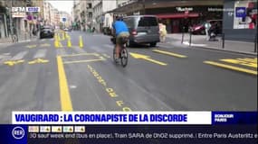 Paris: rue de Vaugirard, une coronapiste de la discorde?