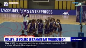 Volley: le Volero le Cannet bat Mulhouse 3-1