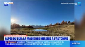 Sur nos sentiers : les meilleurs spots pour admirer les mélèzes des Alpes du Sud