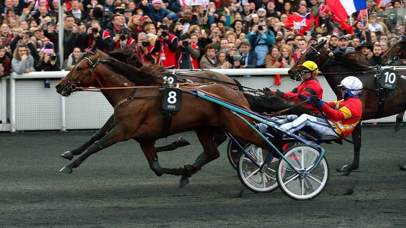 Readly Express (n°8) vainqueur du Grand Prix d'Amérique