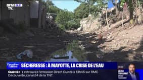 À cause de la sécheresse, Mayotte traverse une crise de l'eau sans précédent 