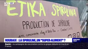 Roubaix: un nordiste se lance dans la culture de Spiruline  