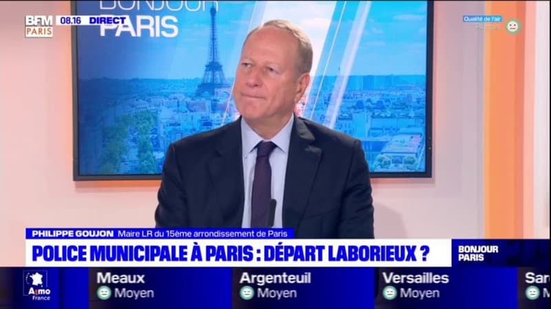 Police municipale à Paris: une vingtaine de policiers dans le 15e, "pas suffisant" pour son maire