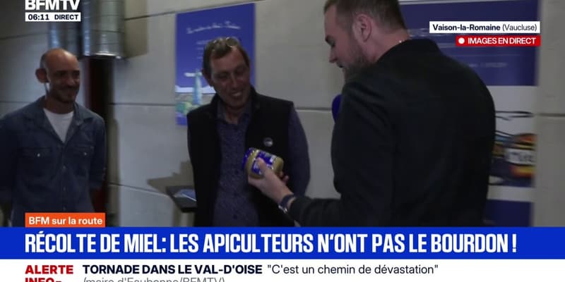 Récolte de miel: un bilan positif pour l'acacia ou le châtaignier, mais mauvais pour la lavande, dans cette entreprise du Vaucluse