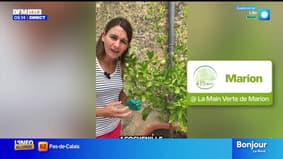 Jardinage & Flûte enchantée - La météo de Colas du mardi 30 septembre 2025 