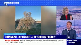 Comment expliquer le retour du froid? - BFMTV répond à vos questions