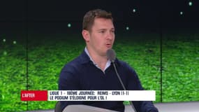 Reims - Lyon : "L"OL a joué un quart d'heure", s'inquiète Perrinelle 