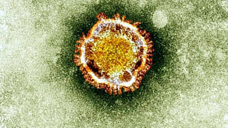 Le coronavirus vu au microscope (image d'illustration)