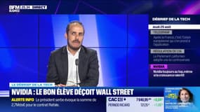 Nvidia : Le bon élève déçoit Wall Street - 29/08
