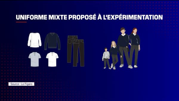 L'uniforme proposé par le gouvernement pour être porté dans les établissements scolaires volontaires en 2024