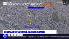 Manifestations contre la proposition de loi "Sécurité globale": à quoi s'attendre ce samedi à Paris? 