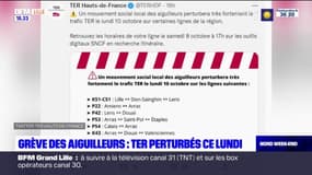 Hauts-de-France: la circulation des trains fortement perturbée par un mouvement social lundi