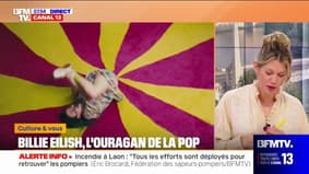 Billie Eilish in concert in Paris: How did the singer overthrow pop? jean-baptiste guégan, vocal lookalike johnny