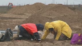 Des archéologues fouillent une nécropole gauloise de 2.200 ans mise au jour près de Troye