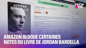 Amazon bloque certaines notes du livre de Jordan Bardella