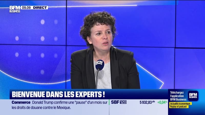 Les Experts : Budget, le patronat soulagé - 04/02