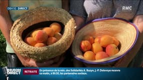  Des récoltes solidaires organisées par des producteurs touchées par la grêle dans la Vallée du Rhône