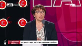 Le Grand Oral de Christiane Lambert, présidente de la FNSEA - 20/04