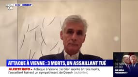 Attaque à Vienne: l'ambassadeur d'Autriche en France estime qu'elle vise "notre civilisation européenne"