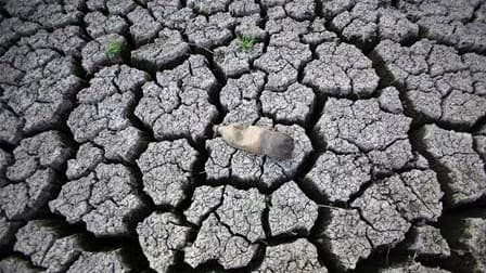 Près d'une personne sur dix estime que le réchauffement climatique est le fruit d'un cycle naturel et qu'il n'y a donc pas de raison de s'en inquiéter, selon un sondage international. /Photo d'archives/REUTERS/Oswaldo Rivas