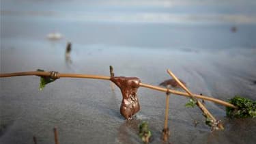 Galette de pétrole échouée sur une plage de Southwest Pass, samedi en Lousiane. L'administration américaine a émis des réserves dimanche concernant le système de siphonnage du pétrole mis en place par BP pour endiguer la marée noire qui sévit actuellement