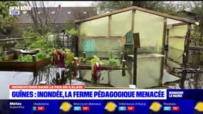 Pas-de-Calais: inondée, la ferme pédagogique de Guînes est menacée