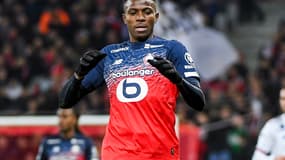 Victor Osimhen (LOSC)