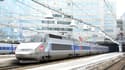 Un TGV à Montparnasse. /Photo d'archives/REUTERS/Mal Langsdon