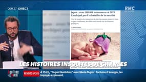 Le Japon investit 16 milliards d'euros pour développer des sites de rencontres dopés à l'intelligence artificielle et booster le taux de natalité