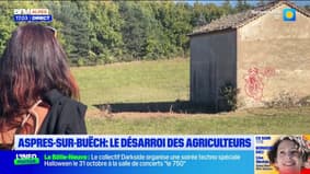 Le désarroi des agriculteurs après la rave party à Aspres-sur-Buëch