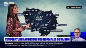 Météo Paris: de la pluie au programme malgré des températures douces