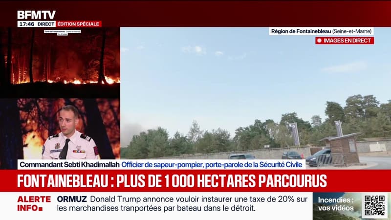 Édition spéciale : Fontainebleau, plus de 1 000 hectares parcourus - 13/07
