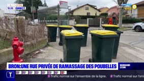 Bron : une rue privée de ramassage des poubelles