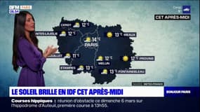 Météo Paris Ile-de-France: un ciel gris ce vendredi matin avant l'arrivée du soleil dans l'après-midi