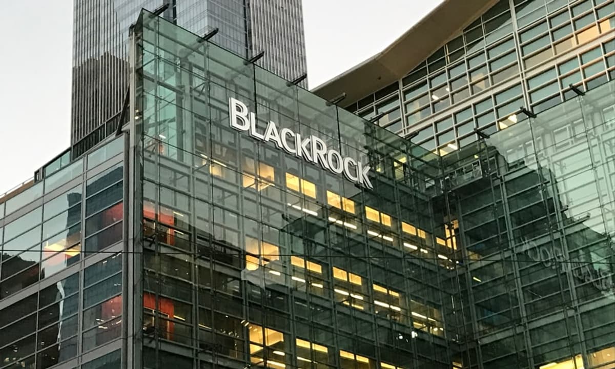 placeholder video