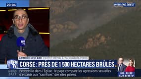 Incendies en Corse: près de 1 500 hectares brûlés