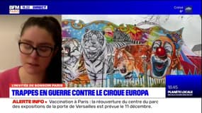 Animaux sauvages dans les cirques: les Français favorables à leur interdiction
