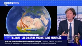 Quelles sont les conséquences de cette météo aux températures très douces? BFMTV répond à vos questions 