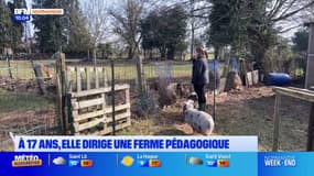 Normandie: À 17 ans elle dirige sa ferme pédagogique