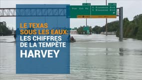 Le Texas sous les eaux: les chiffres de la tempête Harvey