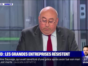 Les grandes entreprises résistent au coronavirus - 30/07