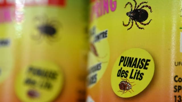 Punaises de lit. Un insecticide toxique et interdit encore en vente en  Gironde, alerte la préfecture