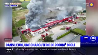 Eure: le site d'une entreprise de charcuterie prend feu, 2.000 m2 brûlés