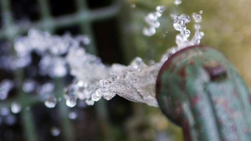 La Mairie de Nice réfute cette interprétation et annonce une consultation dans les prochains jours. 